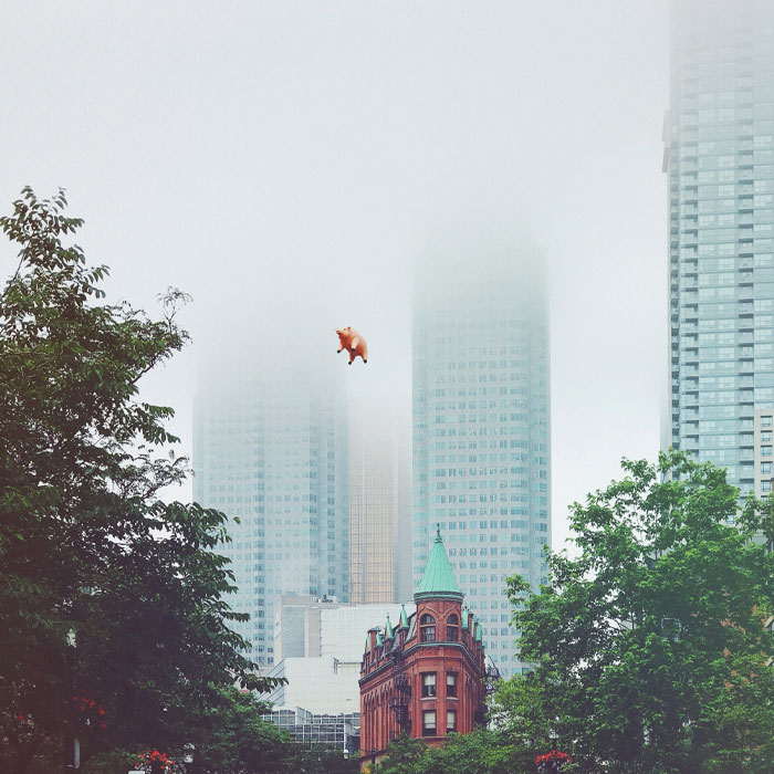 A pig balloon floats among foggy skyscrapers, capturing a sense of whimsy and humor amid urban architecture.