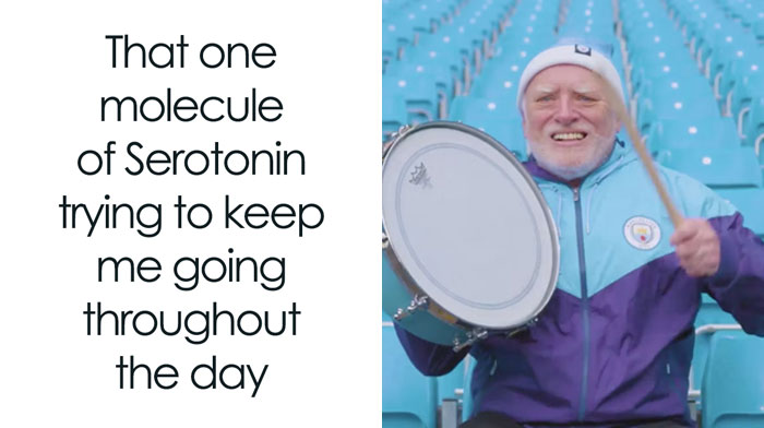 30 Random Memes That Might Help Your Brain Pump Out Some Dopamine