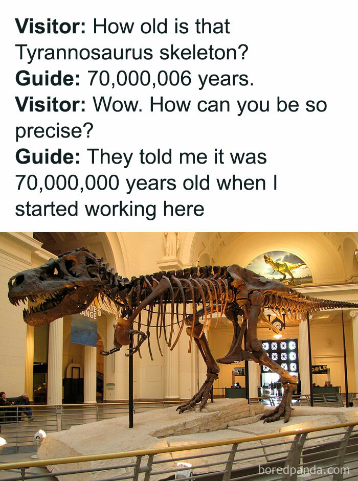 T-rex skeleton exhibit with a humorous exchange about its age, highlighting men's humor.