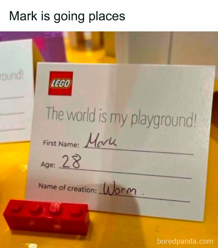 LEGO card humor with age 28 showing a simple brick creation called "Worm," capturing men's humor.