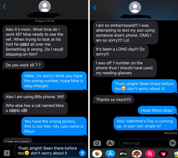 Text conversation showing funny messages sent to the wrong recipient about a cat named Moe.