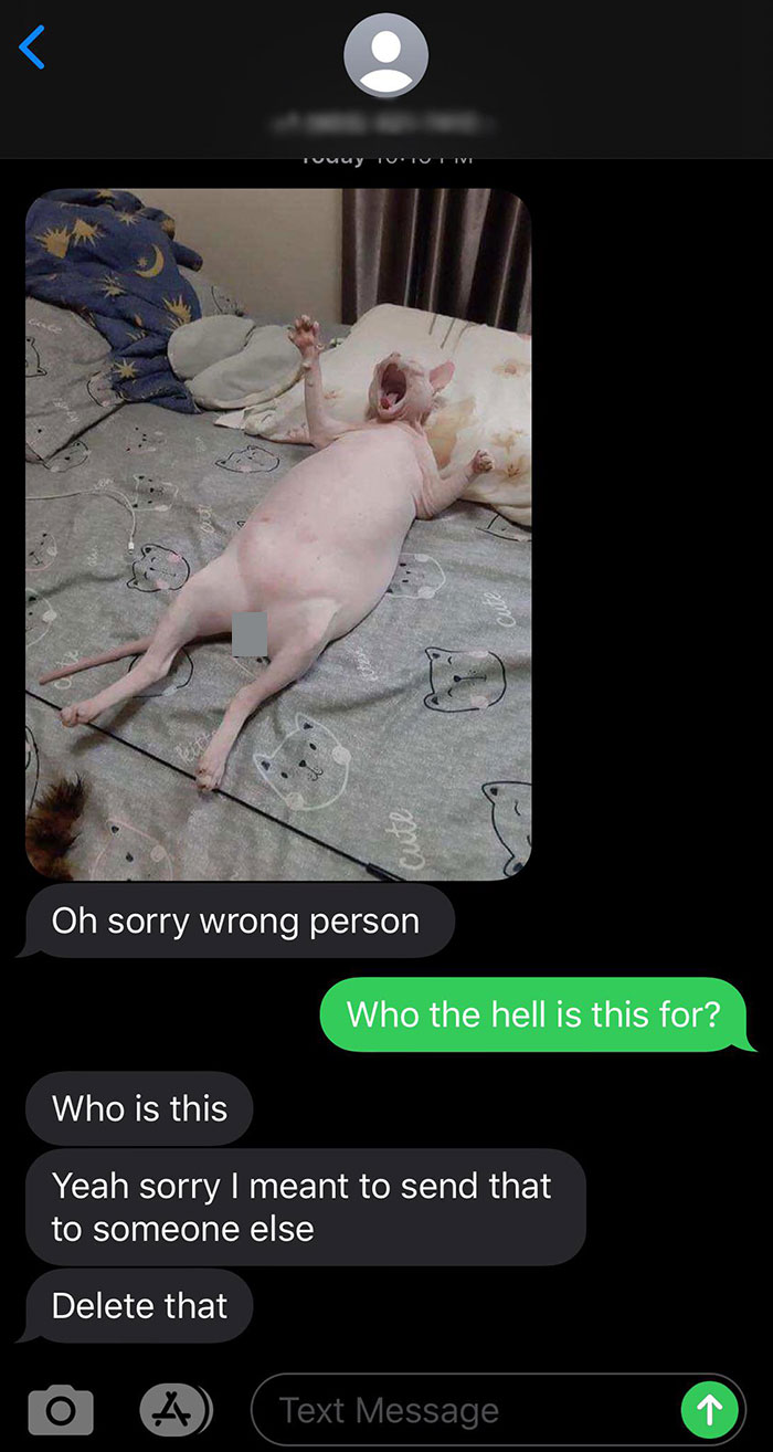 Text conversation with funny message sent to wrong recipient, featuring an awkward pet photo.