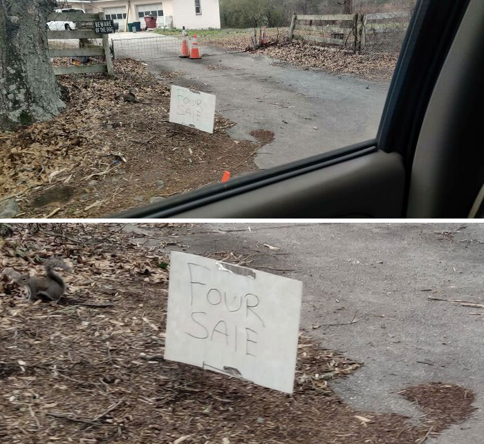 Sign with a spelling error, "Four Saie," placed on roadside, humorous to grammar enthusiasts.