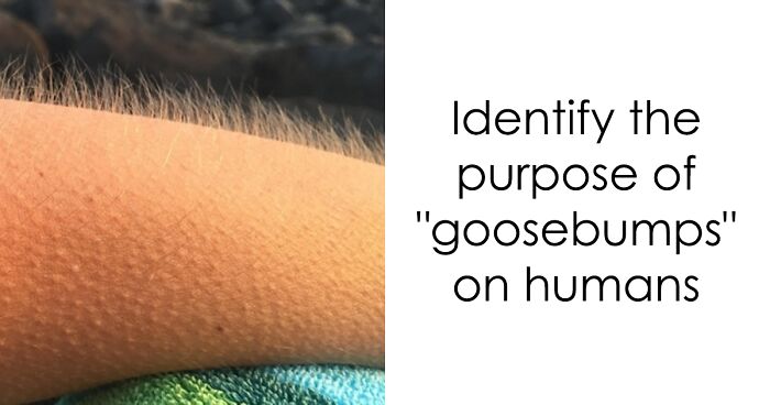 “Think You Know Useless Facts?”: This 35-Question Challenge Will Test You