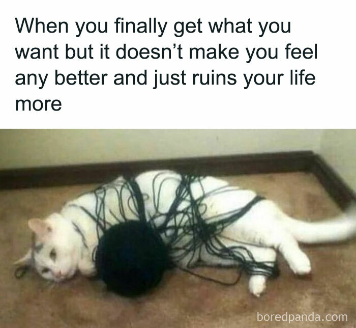 Cat tangled in yarn with a humorous caption about life's struggles, illustrating memes about barely functioning.