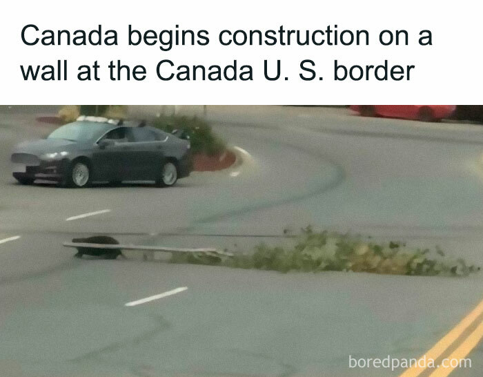 Funny-Relatable-Ig-Animal-Memes