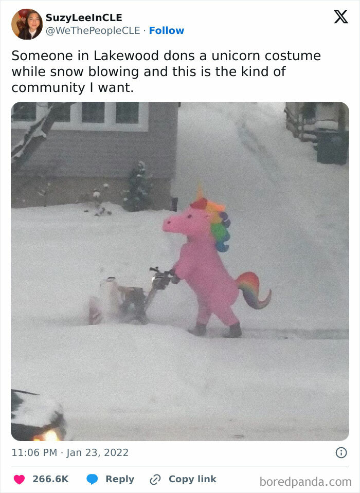 Funny-Relatable-Ig-Animal-Memes