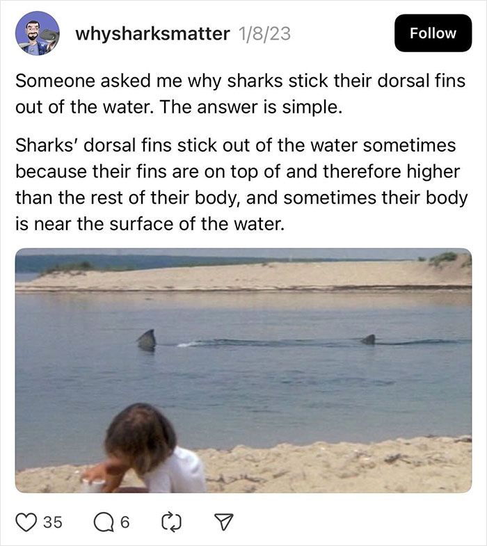 Sharks' dorsal fins above water in a humorous meme to brighten your day.