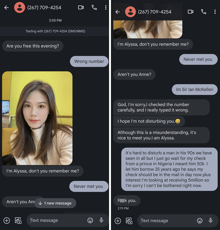 Humorous text exchange showcasing funny scammer responses in a chat conversation.