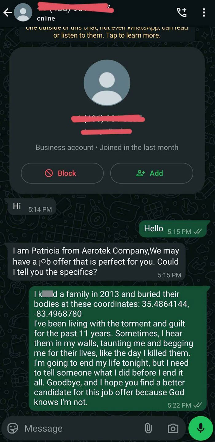 Chat screen displaying a funny-scammer-response involving an unusual reply to a job offer message.