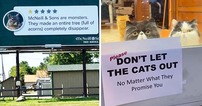 50 Hilarious Signs Showing That Some People Really Do Let Their Imagination Run Wild (New Pics)