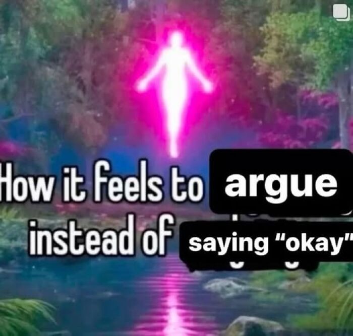 Floating pink figure with text overlay about arguing; represents funny Facebook memes.