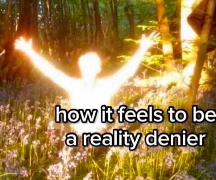 Glowing figure in a forest with text overlay about being a reality denier, capturing funny silly meme vibe.