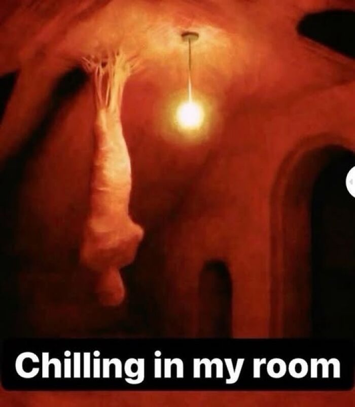 A funny-silly meme showing an inverted figure hanging from a ceiling, glowing bulb nearby, with text "Chilling in my room."
