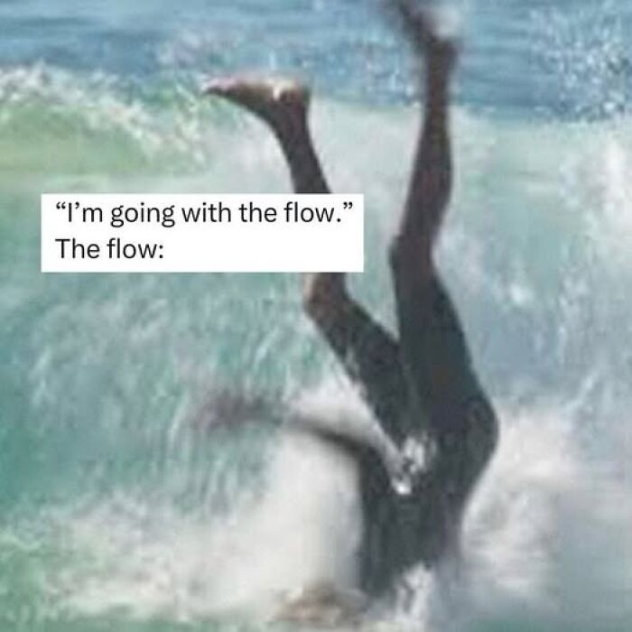 Person upside down in a wave with text saying "I'm going with the flow." Represents funny silly Facebook memes.