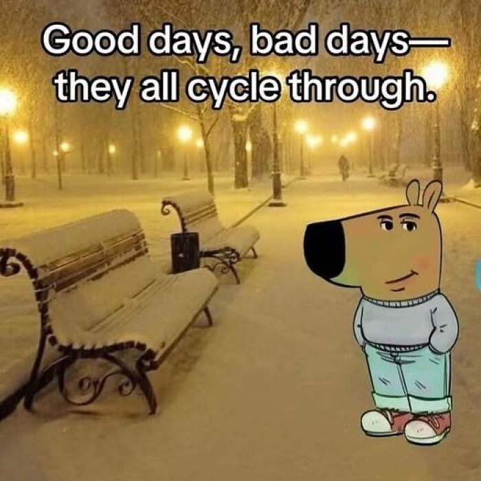 Cartoon dog with hands in pockets on snowy path, humorous quote above; part of funny silly Facebook memes collection.