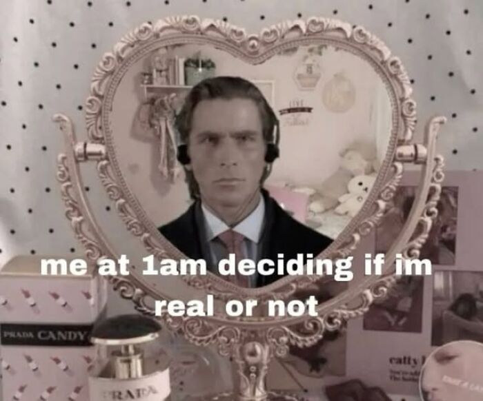 Heart-shaped mirror reflects a person with text overlay: "me at 1am deciding if I'm real or not," epitomizing funny silly memes.