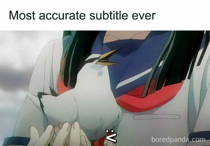 Anime character holding a bird with text overlay: "Most accurate subtitle ever"; a weird meme example.