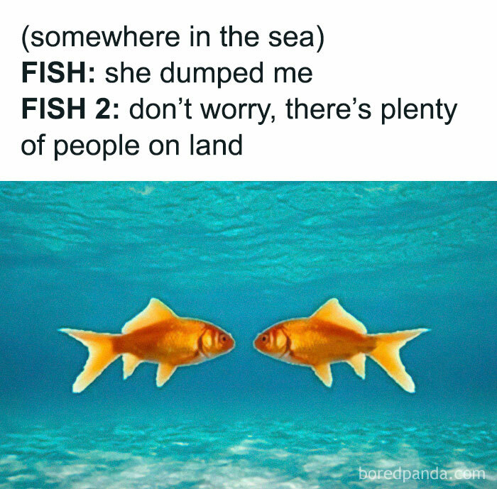 Two fish discussing a breakup with a humorous twist, highlighting the weirdest memes.