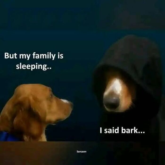 Two dogs in a meme: one looks concerned, saying "But my family is sleeping," the other in a hood replies, "I said bark."