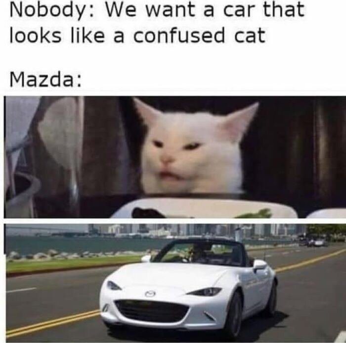 Weirdest meme with a confused cat compared to a Mazda car.