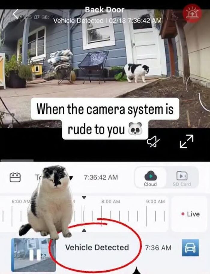 Security camera detects a cat as a vehicle, exemplifying weirdest memes humor.