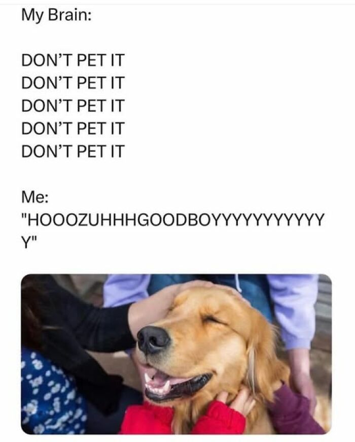 Weirdest meme featuring a dog enjoying pets despite humorous internal conflict text.