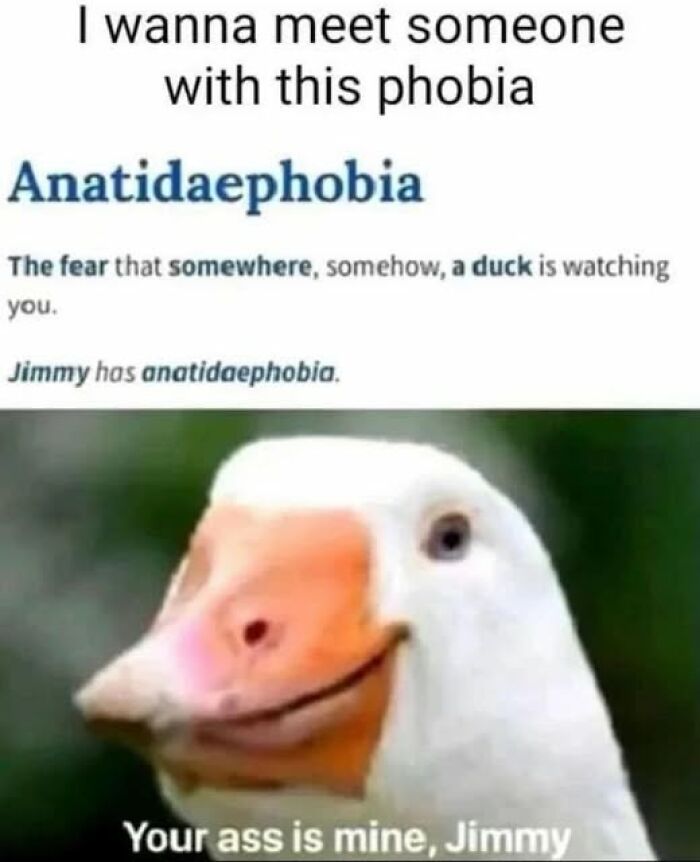 Duck meme about anatidaephobia, the fear of being watched by a duck, with humorous caption.