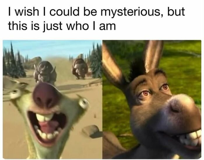Two characters from animated films with funny expressions, featuring weird memes text about being non-mysterious.