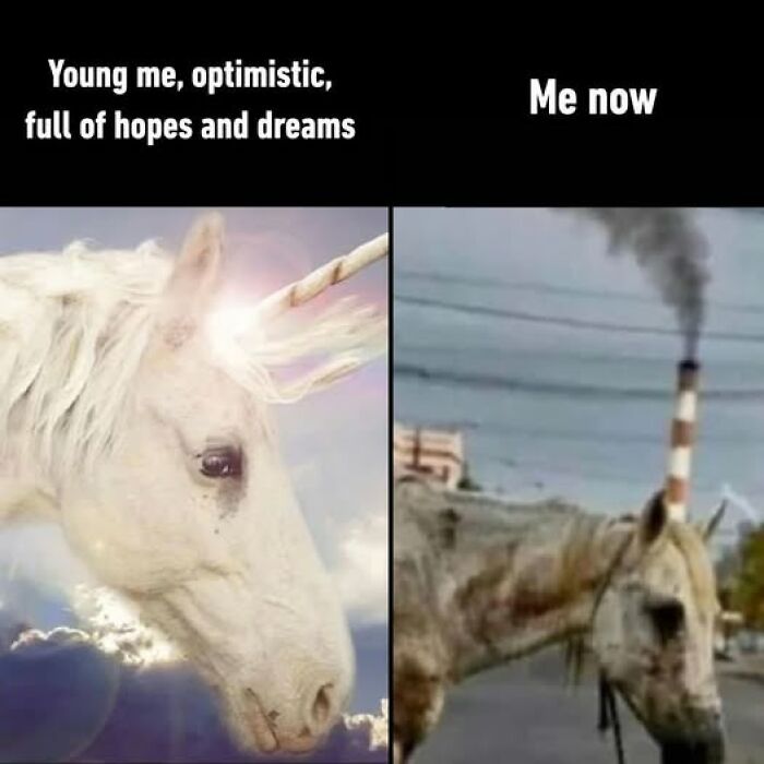 Unicorn meme illustrating transformation from hopeful dreams to grim reality, capturing one of the funniest weird memes.