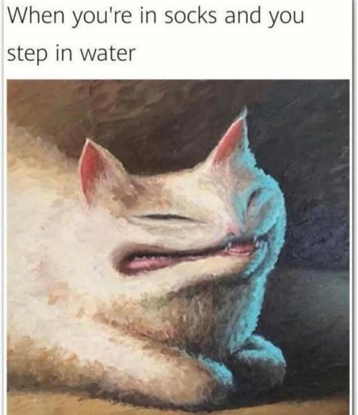 Weirdest meme of a distorted cat with a caption about stepping in water wearing socks.