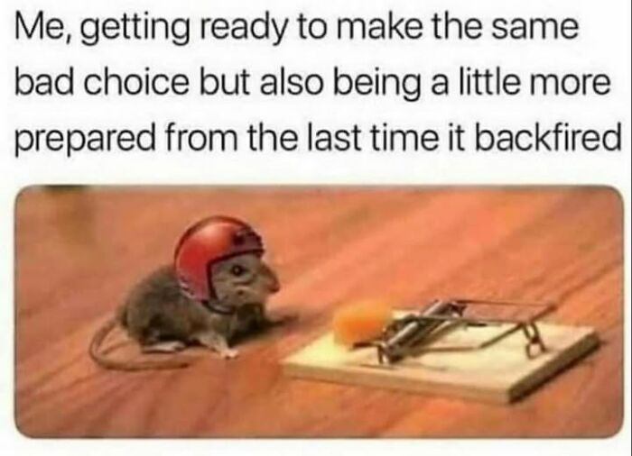 Humorous meme of a mouse wearing a helmet approaching a mousetrap with cheese.