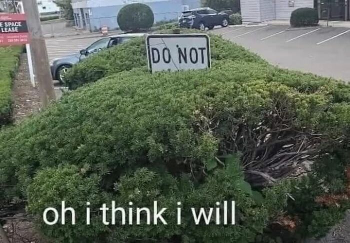 Bush with a "Do Not" sign humorously defying orders; text reads, "oh i think i will." Weirdest memes theme.