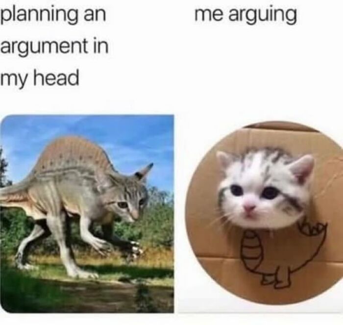 Cat-dinosaur hybrid meme showing a big plan vs. a small reality argument.
