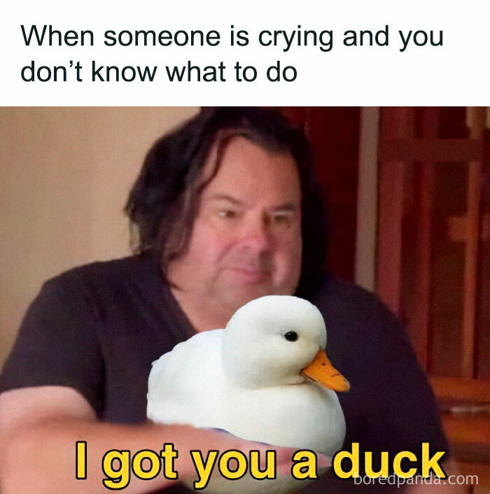 Man holding a duck meme with the caption: "When someone is crying and you don’t know what to do. I got you a duck."