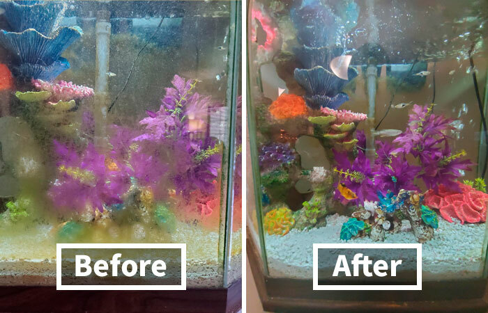 Before and after of a fish tank transformation, showcasing vibrant plant life and clear water.