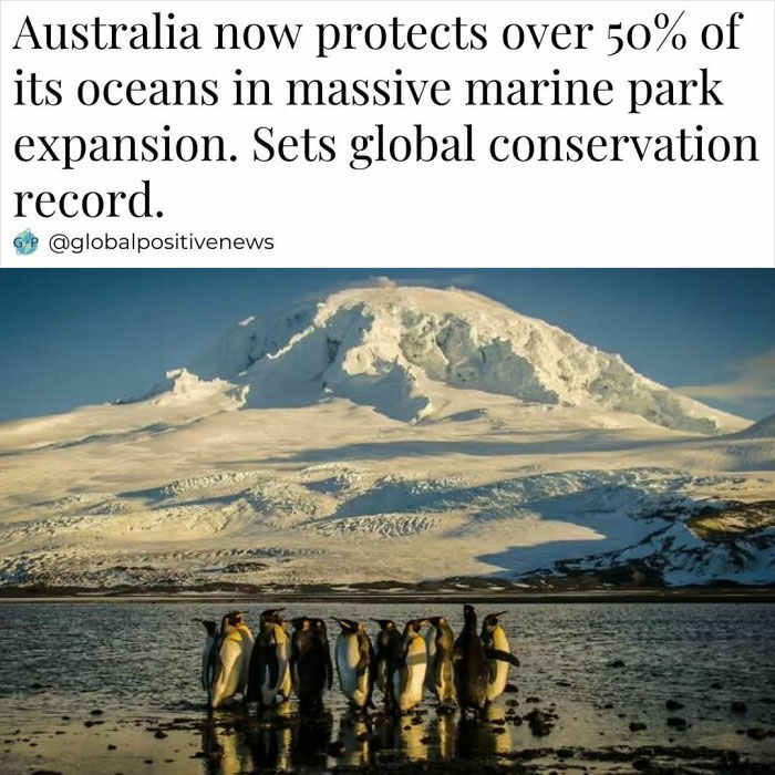 Penguins on a shoreline with a snowy mountain backdrop, highlighting global positive news in marine conservation efforts.