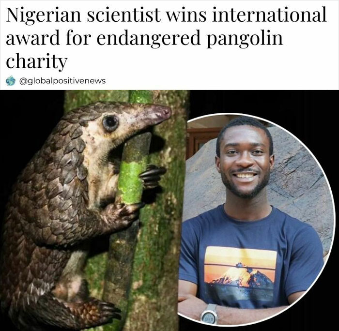 Nigerian scientist wins award for pangolin charity, smiling man in blue shirt beside an image of a pangolin on a tree.