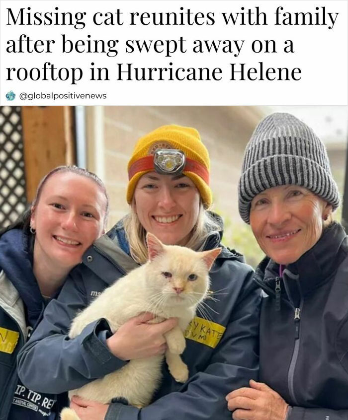 Smiling group with rescued cat, reunited with family after Hurricane Helene ordeal, illustrating faith in humanity restored.