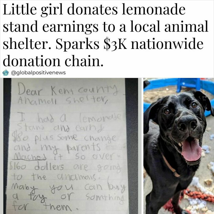 Little girl's lemonade stand donation to animal shelter; letter and smiling black dog representing faith in humanity restored.