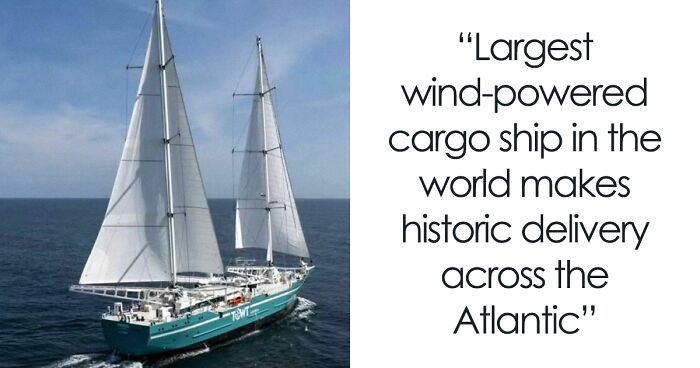 50 Positive Headlines That Might Bring Some Sunshine To Your Day (New Pics)