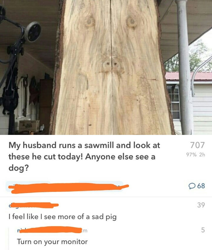 Wooden plank resembling a face, with funny comments and clever comebacks about it looking like a sad pig or a dog.
