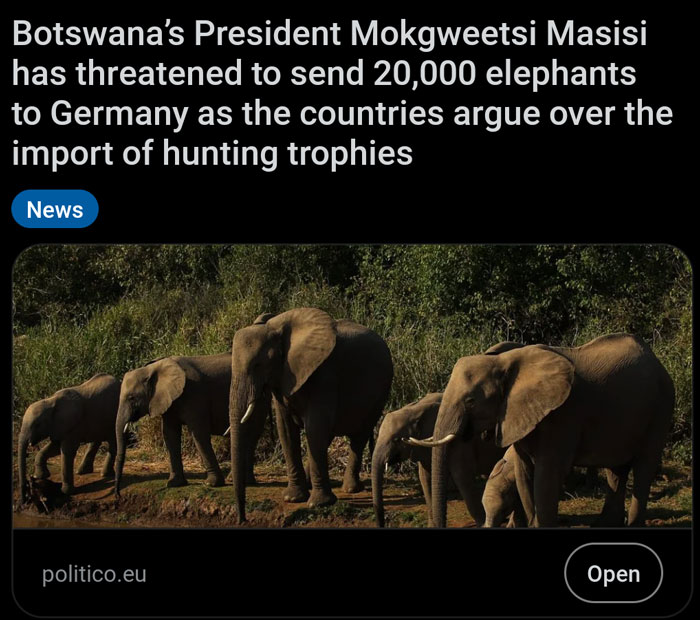 Elephants gather in a forest setting, illustrating a hilarious news headline about Botswana's President and hunting trophies.