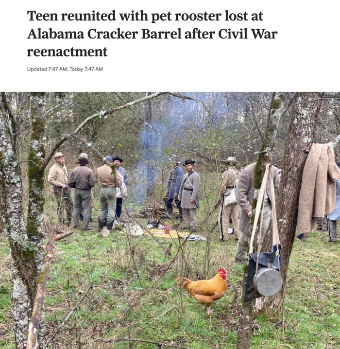 Group dressed in Civil War attire, standing outdoors with a rooster in the foreground, illustrating a hilarious news headline.