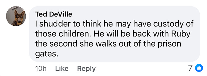 Comment discussing custody concerns related to momfluencer abuser Ruby Franke. Comment discussing custody concerns related to momfluencer abuser Ruby Franke.