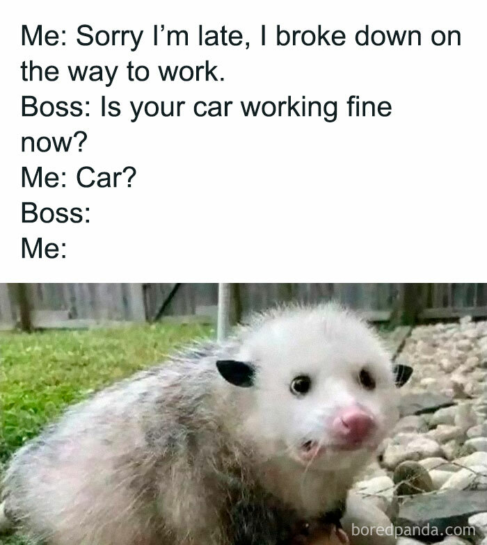 A relatable mental health meme with an image of a surprised possum.