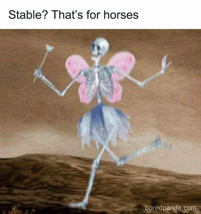 Skeleton in fairy costume with text "Stable? That's for horses," depicting relatable mental health humor.