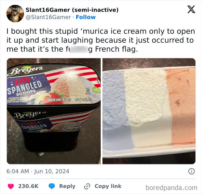 Ice cream container resembling a patriotic theme, opened to reveal colors similar to the French flag. Funny Facebook Marketplace find.