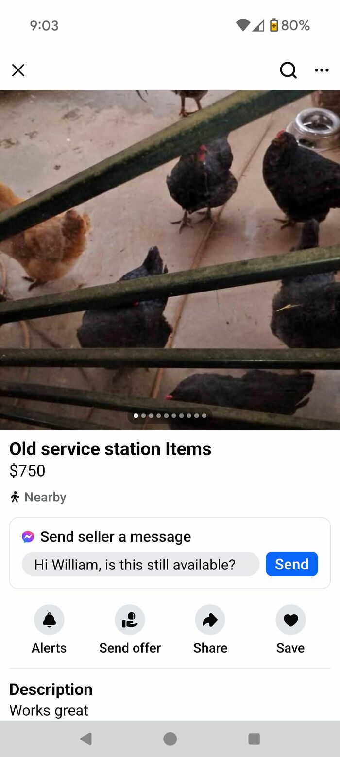 Chickens behind bars listed as old service station items on Facebook Marketplace.