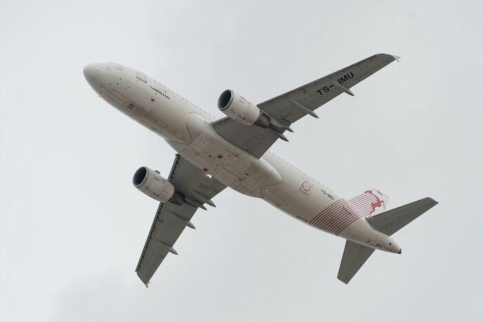 Airplane flying overhead against a cloudy sky, relating to bizarre facts.